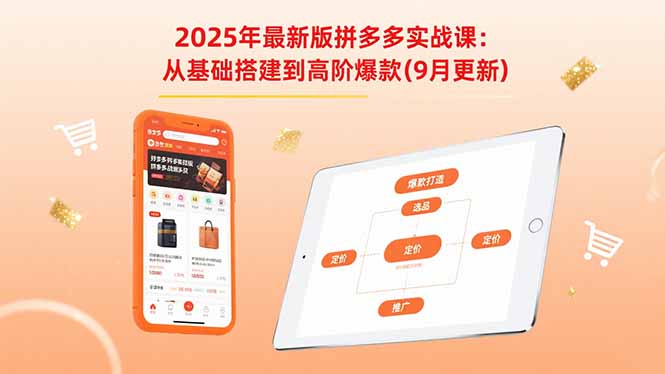 （15899期）2025年最新版拼多多实战课：从基础搭建到高阶爆款（9月更新）-云深网创社