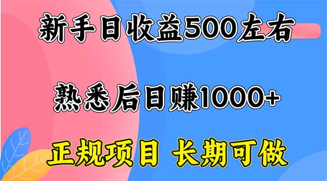 （16132期）新手日收益500+ 正规项目 长期可做-云深网创社