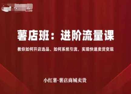 小红薯薯店商城卖货，进阶流量课，教你如何开店选品、如何系统引流，实现快速卖货变现-云深网创社