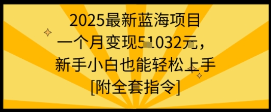 2025最新蓝海项目一个月变现1w+新手小白也能轻松上手【附全套指令】-云深网创社