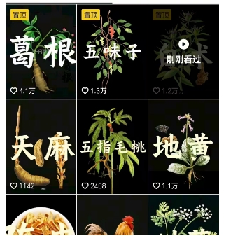 图片[2]-抖音中草药赛道，用AI做中草药故事视频，45条作品涨粉13W，橱窗带货猛猛出单-云深网创社