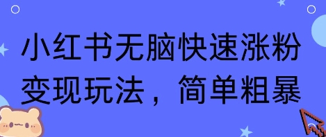 小红书无脑快速涨粉变现玩法，简单粗暴-云深网创社