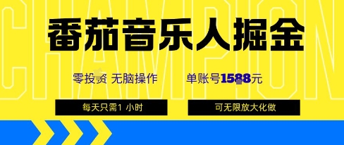 番茄音乐人掘金，单账号最高可撸1k+，可无限矩阵去做，零投入-云深网创社