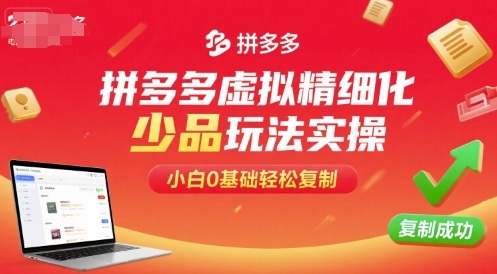 拼多多虚拟精细化少品玩法实操，小白0基础轻松复制-云深网创社