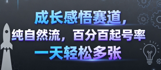 成长感悟赛道，纯自然流，百分百起号率 一天轻松多张-云深网创社