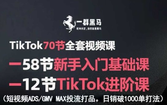 TikTok全套视频课，新手入门+进阶课，短视频ADS-GMV MAX投流打品，日销破1000单打法-云深网创社