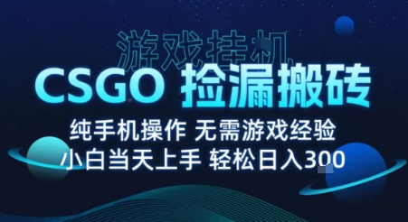8月最新游戏搬砖，CSGO纯挂G，不需要玩游戏，实现真挂G，月入1W+【揭秘】-云深网创社