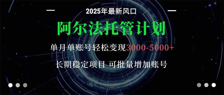 （16360期）阿尔法托管计划 单账号月入3000-5000，长期稳定项目，新手小白轻松上手。-云深网创社
