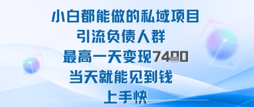 2025年小白都能做的私域项目引流负债人群最高一天变现1k+高变现难度低当天就能见到钱上手快-云深网创社