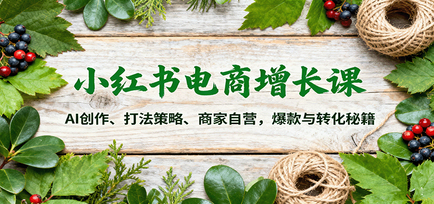 小红书电商增长课：AI创作、打法策略、商家自营，爆款与转化秘籍-云深网创社
