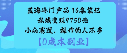 蓝海冷门产品：16条笔记私域变现9750米小众赛道，操作的人不多-云深网创社