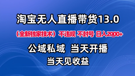 淘宝无人直播13.0，公域私域技术，不封号，不违规布局下半年旺季赛道，日入1K+（独家技术）【揭秘】-云深网创社