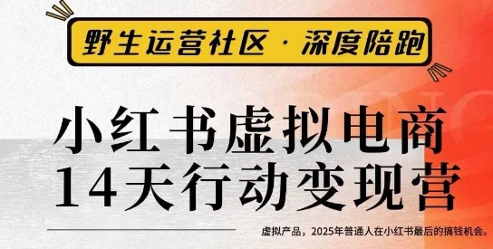小红书虚拟电商14天变现训练营3.0，​虚拟产品，2025年普通人在小红书最后的搞钱机会-云深网创社