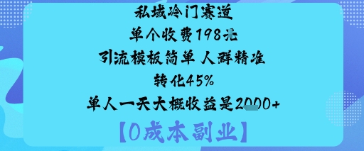 私域冷门赛道:单个收费198米引流模板简单人群精准转化45%单人一天大概收益是1k+-云深网创社