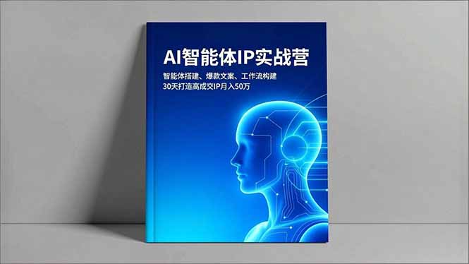 （16689期）AI智能体IP实战营，智能体搭建、爆款文案、工作流构建，30天打造高成交IP月入50万-云深网创社