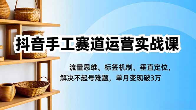 （16667期）抖音手工赛道运营实战课，流量思维、标签机制、垂直定位，解决不起号难题，单月变现破3万-云深网创社