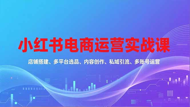 （16695期）小红书电商运营实战课，店铺搭建、多平台选品、内容创作、私域引流、多账号运营等玩法-云深网创社