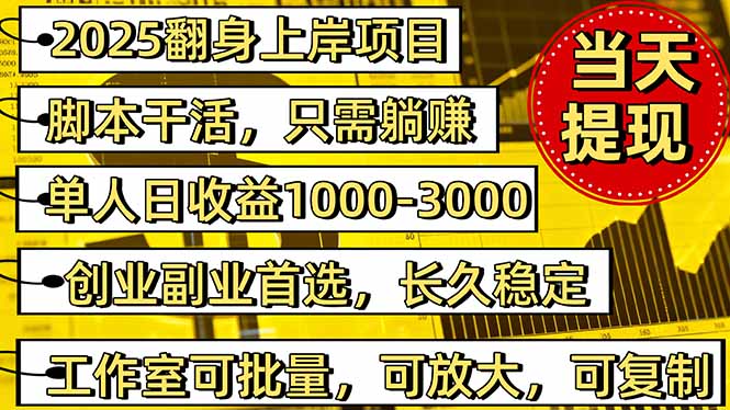 （16501期）2025翻身上岸项目脚本干活，内部客户经理内部开号，单人日收益1000-300...-云深网创社