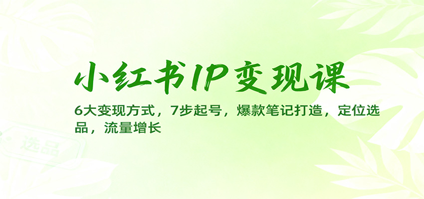 小红书IP变现课：6大变现方式，7步起号，爆款笔记打造，定位选品，流量增长-云深网创社
