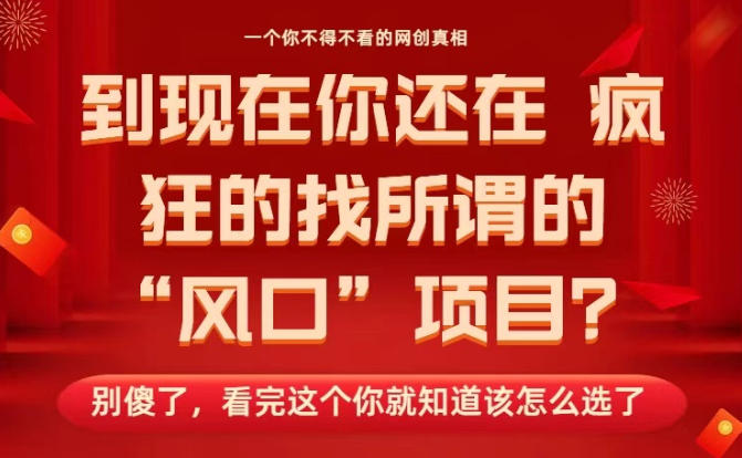 马上26年了，你还在找所谓的风口项目？别傻了，看完这个你全都懂了！【揭秘】-云深网创社