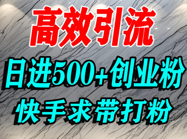怎么打创业粉？快手求带视角精准引流创业粉，宝妈、学生群体日进500+精准流量-云深网创社