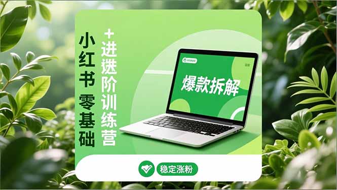（16801期）小红书零基础+高阶训练营：安全养号、爆款拆解、长效运营，实现稳定涨粉与变现-云深网创社