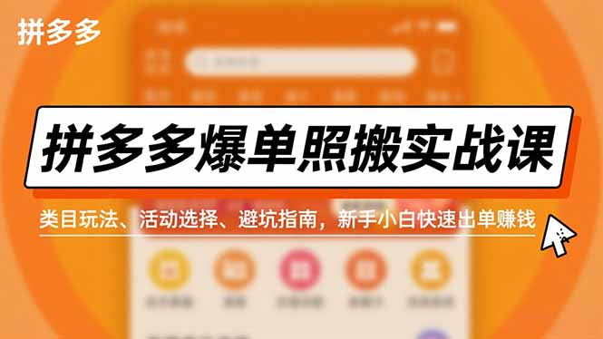 （16838期）拼多多爆单照搬实战课，类目玩法、活动选择、避坑指南，新手小白快速出单赚钱-云深网创社