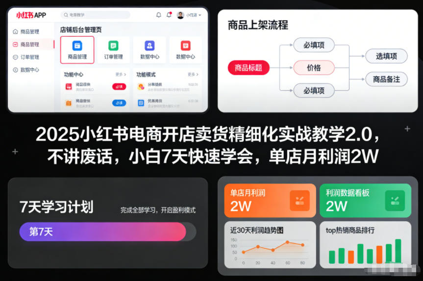 2025小红书电商开店卖货精细化实战教学2.0，不讲废话，小白7天快速学会，单店月利润2W-云深网创社