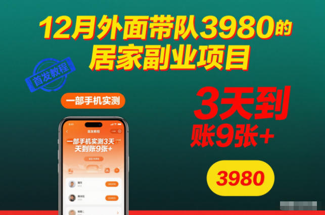12月外面带队3980的居家副业项目，一部手机实测3天到账9张+，首发教程【揭秘】-云深网创社