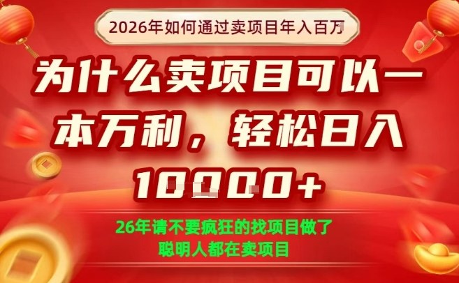 一单净利润1K+，26年想年入100个W，死磕卖项目就够了【揭秘】-云深网创社